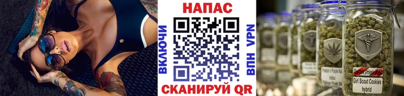 Виды наркоты Волхов Alpha PVP КОКАИН ГАШИШ АМФ Бошки Шишки МЕФ