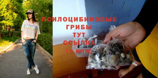 СК Аркадак