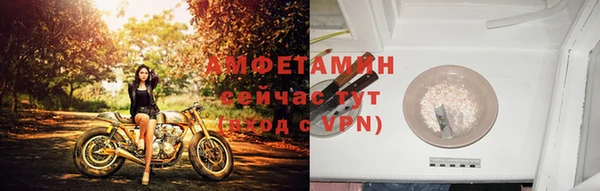 СК Аркадак