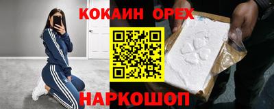 шишки Гатчина