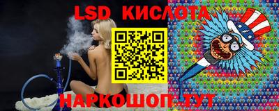 шишки Гатчина