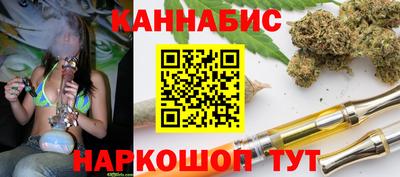 шишки Гатчина