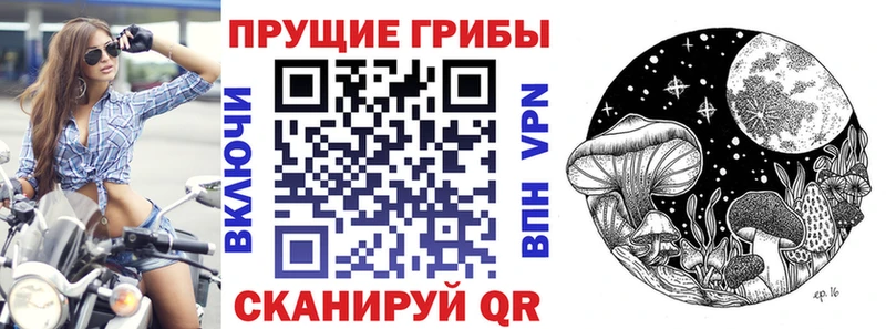 Галлюциногенные грибы мицелий  Волхов 