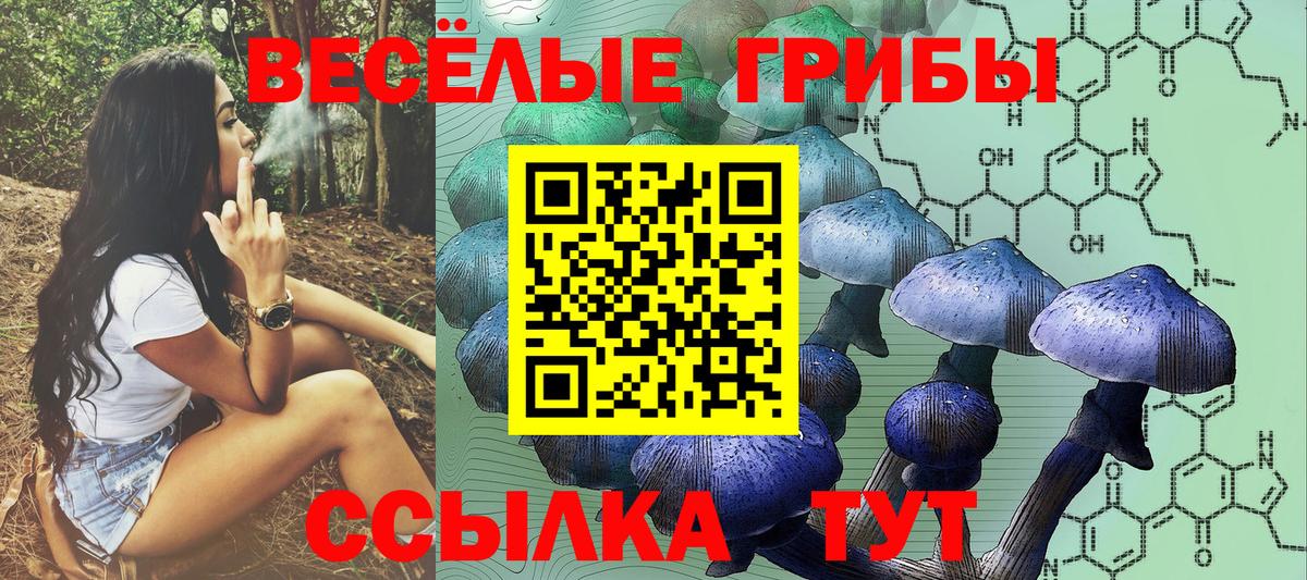 Псилоцибиновые грибы прущие грибы Волхов