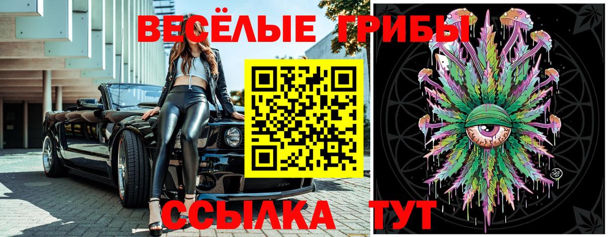 купить наркотики цена  Псилоцибиновые грибы прущие грибы  Волхов  Псилоцибиновые грибы мухоморы 