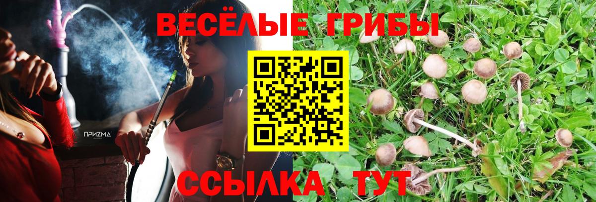 Волхов  Псилоцибиновые грибы Psilocybine cubensis  где можно купить наркотик  Псилоцибиновые грибы Cubensis  Вход с VPN 